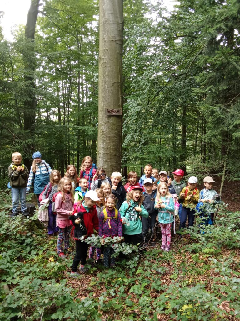 887fca35 ab9e 46fd 9e5d d20c4f784a72