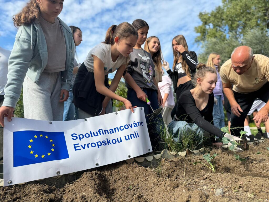 Skola5
